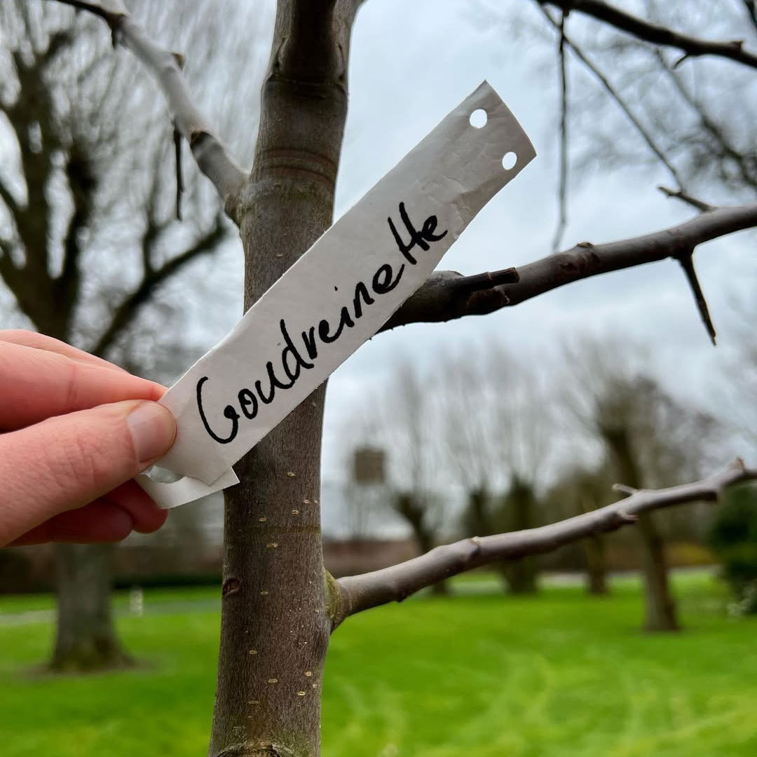 Fruitbomen-vanheektextiles