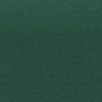 Buckram-Premium_29002-bookcloth-vanheektextiles
