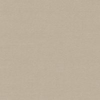 Buckram-Premium_29055-bookcloth-vanheektextiles-1